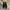 Louis Vuitton Luxury Sneakers Pria brown photo 2