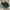 Nike Y2K Casual Sneakers Pria navy photo 1