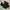 Dr. Martens Y2K Luxury Boots Pria black photo 1