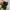 Dr. Martens Y2K Luxury Boots Pria black photo 4