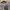 Y2K Casual Casual shirt Pria gray photo 3