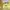 H&M Casual Crop top Wanita yellow photo 2