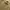 Y2K Casual Casual Shirt Pria Tan