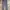 Crocodile Casual Formal pants Pria gray photo 1