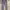 Crocodile Casual Formal pants Pria gray photo 4