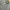 Uniqlo Y2K Casual Casual shirt Pria gray photo 2