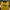 Casual Sweater Pria yellow photo 3