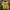 Casual Sweater Pria Yellow