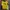 Casual Sweater Pria Yellow