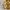 Vintage Luxury Bomber jacket Pria tan cream photo 3