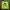 MLB Casual Sweater Pria green photo 5