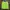 MLB Casual Sweater Pria green photo 1