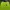 MLB Casual Sweater Pria green photo 3