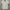 Airwalk Casual Casual shirt Pria white photo 1