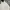 Nike Vintage Streetwear Hoody Pria cream photo 2