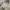 Camber Vintage Y2K Jumper Pria gray photo 2