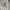 Betty Boop Vintage Luxury Jumper Pria gray photo 2