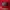 Nike Vintage Y2K Hoody Pria red photo 4
