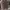 212 Degrees Lolita Casual Cardigan Wanita tan brown photo 2