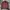 K-Way Streetwear Casual Windbreaker Pria brown photo 1