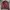K-Way Streetwear Casual Windbreaker Pria brown photo 2