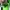 Adidas Casual Sneakers Pria white green photo 6