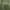 Executive Minimalist Casual trouser Wanita green photo 1