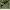 Executive Minimalist Casual trouser Wanita green photo 3