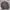 Von Dutch Vintage Y2K Harrington jacket Pria tan photo 3