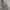 Von Dutch Vintage Y2K Harrington jacket Pria tan photo 5