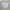 Casual Sweatshirt Pria white photo 3