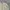 GU Streetwear Bomber jacket Pria cream photo 4
