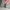 Uniqlo Minimalist Bomber jacket Pria green photo 6