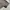Paul Smith Luxury Casual Harrington jacket Pria gray photo 5