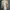 Pakaian adat Pakaian Nasional Formal shirt Pria tan cream photo 2