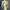Pakaian Adat Pakaian Nasional Formal Shirt Pria Tan Cream