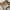 Marlboro Vintage Casual Casual pants Pria khaki photo 3