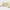 Chanel Casual Crossbody Bag Wanita Cream