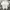 Topten Casual T-shirt Pria white photo 1