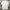 Topten Casual T-shirt Pria white photo 3