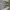 Fairy Kimono Wanita white green photo 1