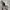 8seconds Streetwear Casual Harrington jacket Pria gray photo 4