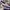 Nike Streetwear Reworked Sneakers Pria multicolor photo 2