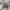 Nike Streetwear Reworked Sneakers Pria multicolor photo 3