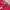 Oakley Vintage Sportswear Short Pria red photo 6