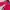 Oakley Vintage Sportswear Short Pria red photo 3