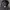 Jean-Michel Basquiat Streetwear Grunge Hoody Pria black photo 4