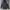 Jean-Michel Basquiat Faded Hooded Black