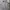 Dickies Casual Track jacket Pria multicolor tan photo 1