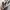 Supreme Casual Sweatshirt Pria white photo 5